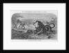 Dr. Livingstone Attacked By the Lion by Anonymous