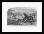 Dr. Livingstone Attacked By the Lion by Anonymous