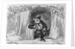 The Wonders of Santa Claus by Anonymous