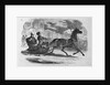 Illustration of the Emperor Alexander II of Russia in the Streets of St. Petersburg by Anonymous