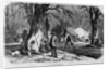 Maple Sugar Camp by Anonymous