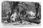 Maple Sugar Camp by Anonymous