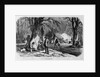 Maple Sugar Camp by Anonymous
