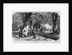 Maple Sugar Camp by Anonymous