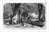 Maple Sugar Camp by Anonymous