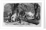 Maple Sugar Camp by Anonymous
