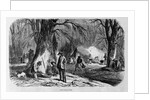 Maple Sugar Camp by Anonymous