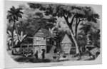 Javanese Habitations by Anonymous