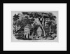 Javanese Habitations by Anonymous