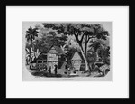 Javanese Habitations by Anonymous