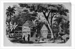 Javanese Habitations by Anonymous