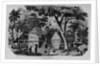 Javanese Habitations by Anonymous