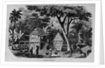 Javanese Habitations by Anonymous