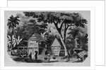Javanese Habitations by Anonymous