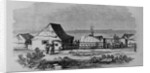 Chinese Settlement in the Suburbs of San Francisco, California by Anonymous