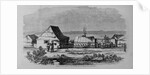 Chinese Settlement in the Suburbs of San Francisco, California by Anonymous