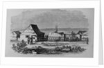 Chinese Settlement in the Suburbs of San Francisco, California by Anonymous