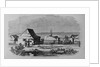 Chinese Settlement in the Suburbs of San Francisco, California by Anonymous