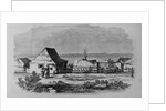 Chinese Settlement in the Suburbs of San Francisco, California by Anonymous