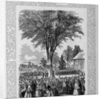 Class-Day Celebration, Harvard. Ceremonies Under the Old Elm, College Green by Anonymous