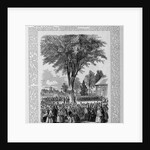 Class-Day Celebration, Harvard. Ceremonies Under the Old Elm, College Green by Anonymous