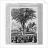 Class-Day Celebration, Harvard. Ceremonies Under the Old Elm, College Green by Anonymous