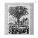 Class-Day Celebration, Harvard. Ceremonies Under the Old Elm, College Green by Anonymous