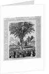 Class-Day Celebration, Harvard. Ceremonies Under the Old Elm, College Green by Anonymous
