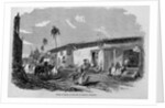 Street of Masaya, in the City of Granada, Nicaragua by Anonymous