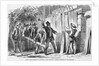 Yellow Fever Excitement at Quarantine, Staten Island, N.Y. Harbor, Destruction of the Barricades Illustration by Anonymous
