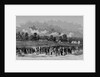 Great Cricket Match Between the United States and Canada, at Hoboken, NJ, September 11 and 12 by Anonymous