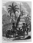 Chief's Hut, New Caledonia, French Possessions in the South Pacific Ocean by Anonymous