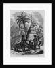 Chief's Hut, New Caledonia, French Possessions in the South Pacific Ocean by Anonymous