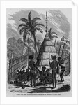 Chief's Hut, New Caledonia, French Possessions in the South Pacific Ocean by Anonymous