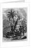 Chief's Hut, New Caledonia, French Possessions in the South Pacific Ocean by Anonymous