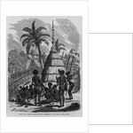 Chief's Hut, New Caledonia, French Possessions in the South Pacific Ocean by Anonymous