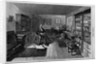 Agassiz in his Studio by Anonymous