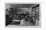 Agassiz in his Studio by Anonymous