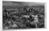 Cattle Raid on the Texas Border by Anonymous