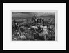 Cattle Raid on the Texas Border by Anonymous