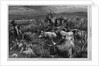 Cattle Raid on the Texas Border by Anonymous