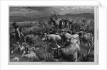 Cattle Raid on the Texas Border by Anonymous