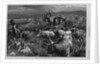 Cattle Raid on the Texas Border by Anonymous