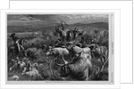 Cattle Raid on the Texas Border by Anonymous