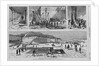 Cutting the Ice-West Side of the River, Above Rondout. The Ice Crop on the Hudson, 1874 by Anonymous