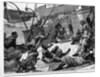 Taking in Live Stock for the Ashantee Expedition-Scene on Board Ship at Jellah Koffee by Anonymous