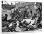 Taking in Live Stock for the Ashantee Expedition-Scene on Board Ship at Jellah Koffee by Anonymous