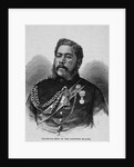 Kalakaua, King of the Sandwich Islands by Anonymous