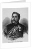 Kalakaua, King of the Sandwich Islands by Anonymous