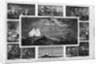 American Sardine Fishery by Anonymous